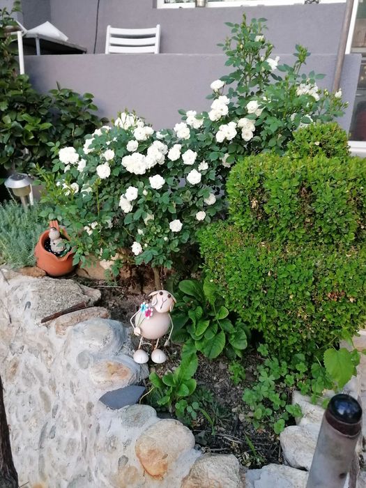 Продава се Къща в с. Стоб, Област Кюстендил - 110 кв.м за 1182 €/кв.м - Снимка #6