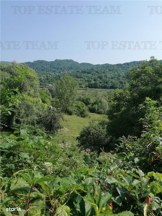 Teren 11230 m.p.  + Conac - necesita renovare