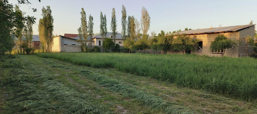 Samarqand viloyati Jomboy tumani uchastka