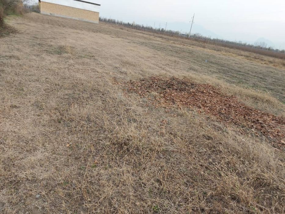 Курук ер сотилади