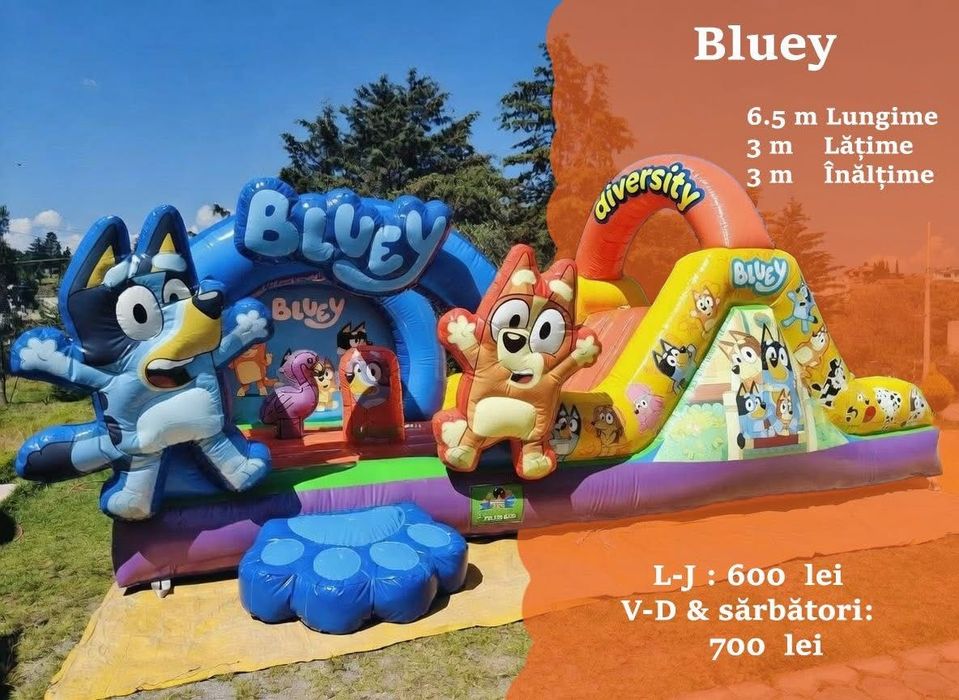 Tobogan gonflabil, vata pe bat, popcorn, Animatori Baloane de săpun Mascote Castel gonflabil Animatori copii  Trambulina Magician Topogane gonflabile
