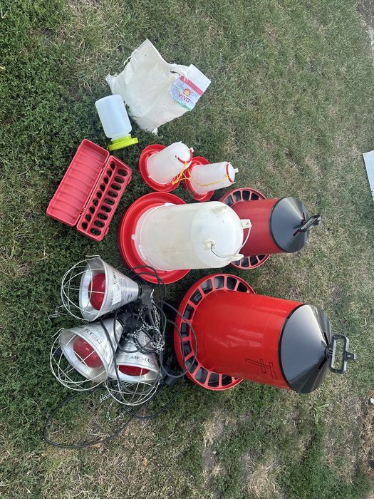 Set crestere pui