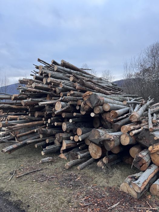 Lemn foc esenta FAG,de vanzare.