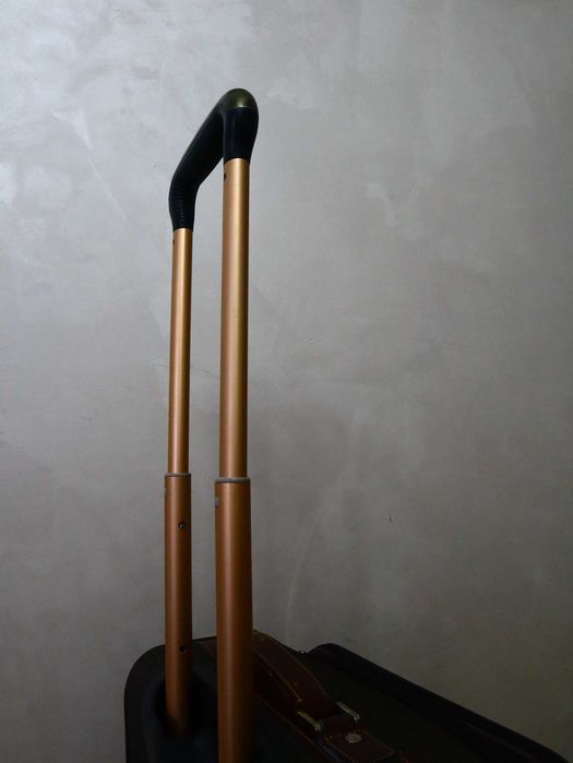 Чемодан - Asia Leopard.