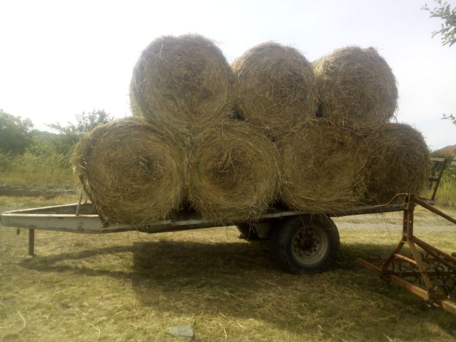 Transport basculabil 3,5 T