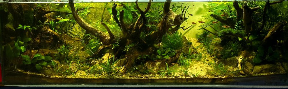 Аквариуми и терариуми