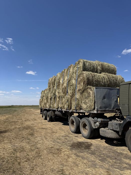 Продам сено чистое разнотравье
