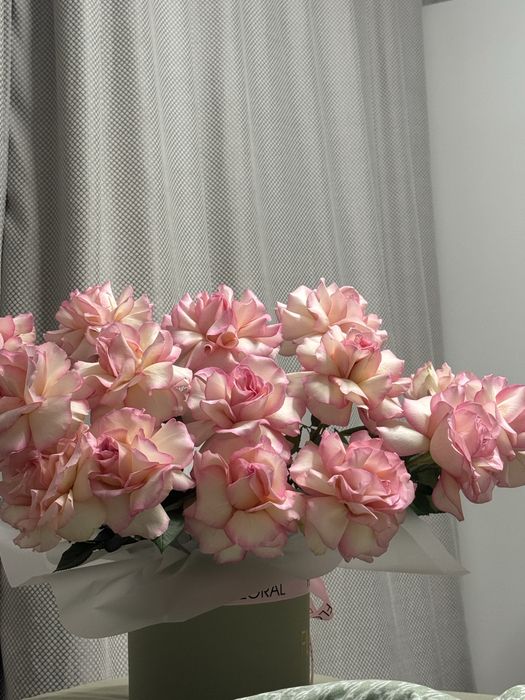 Свежие розы, цветы