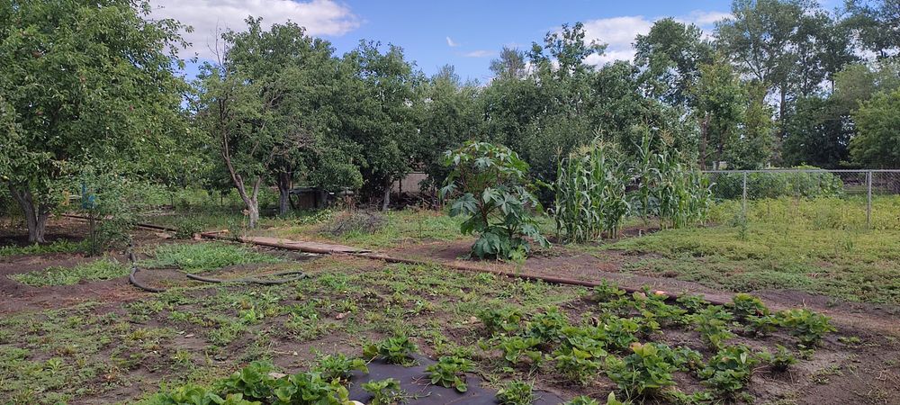 Продам дачу 2я дачная,,Тополёк,,