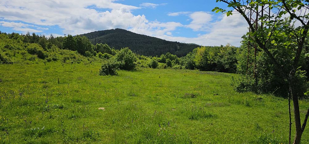 Продава се Парцел в Перник, Изток - 11803 кв.м за 16 €/кв.м - Снимка #8