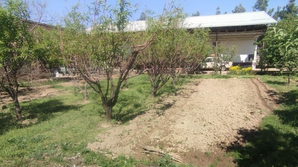 Продается Земля. Хасанбой Кенсой