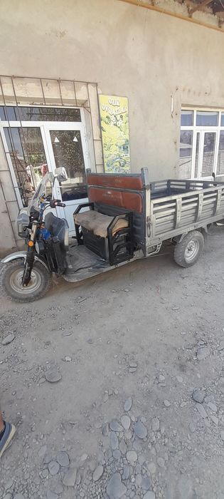 Продается муравей