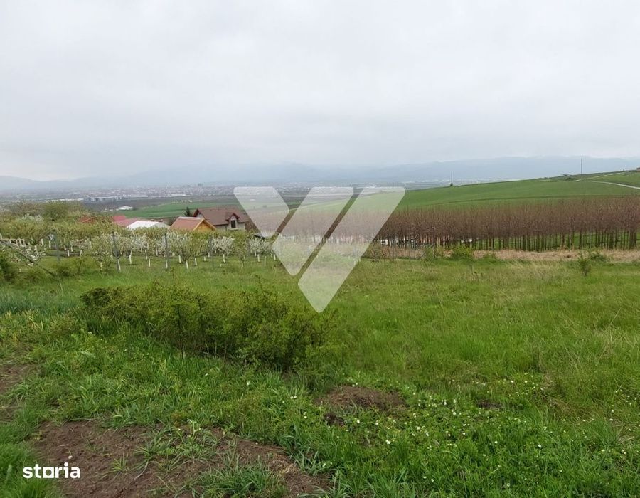 Investitie - Teren intravilan 536 mp Sura Mare ideal constructii