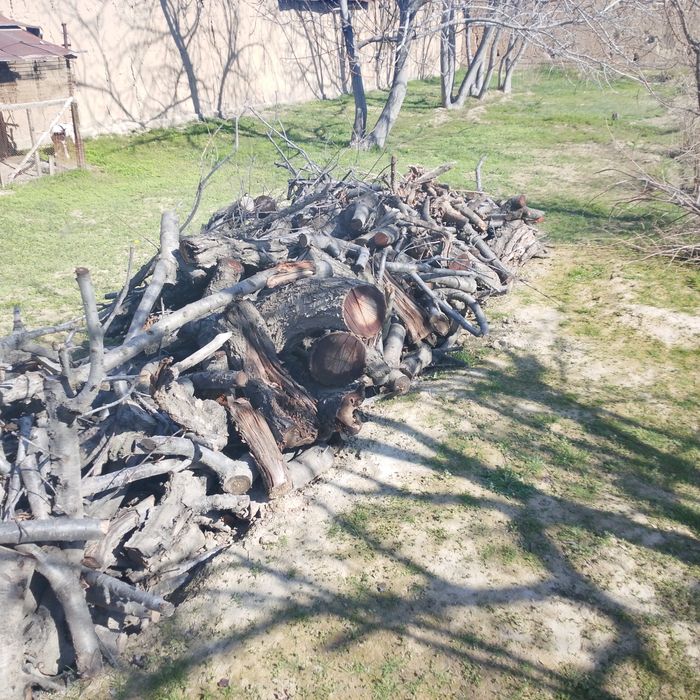 Утин дрова  Гелос хаммаси