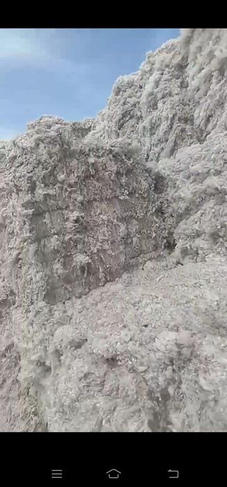 улук ПАХТА сотилади