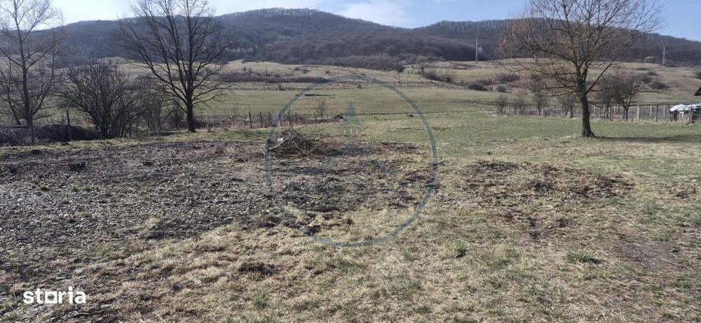 Teren intravilan de vanzare – deschidere mare la drum national! Vii