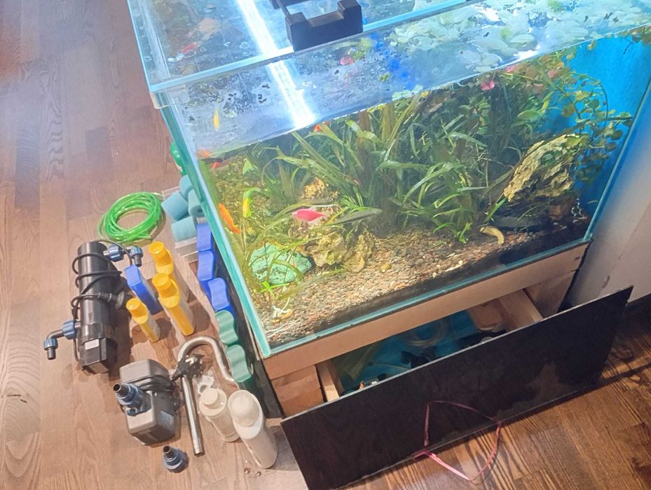 Acvariu 250 L ClearGlass si accesorii