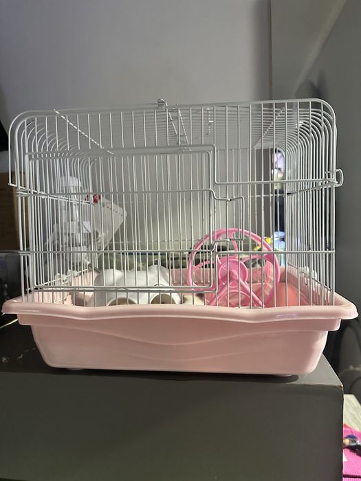 Продается хомяк с клеткой