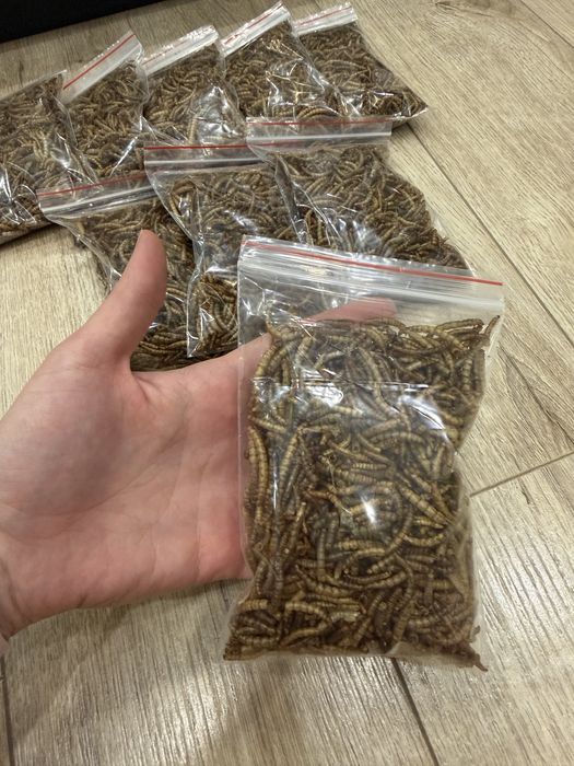 Мучной червь сушеный