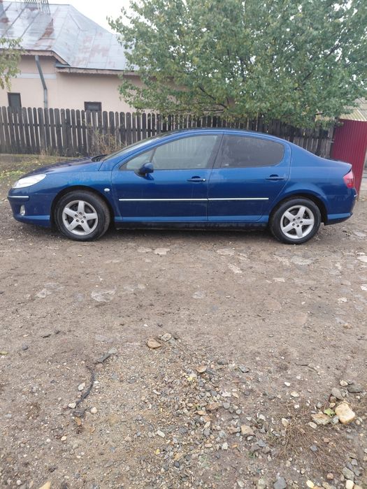 Vand Peugeot 407
