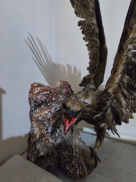 Продам беркут сувенир