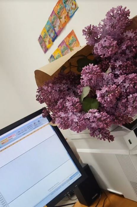 Сирень сирень сирень сирень