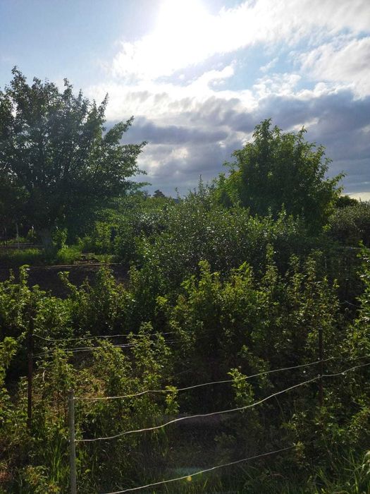 Продам дачу на Федоровке