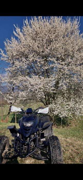 Vând/Schimb atv Shineray 250 cu acte!