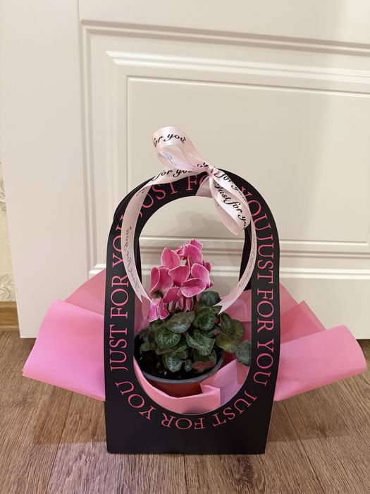 Живые цветы в горшке