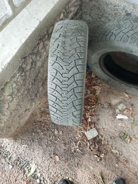 Пакричка! Сатамын.