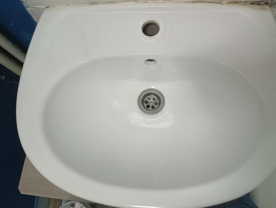 Продам тюльпан .