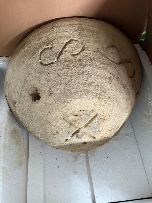 țest nou pentru pâine