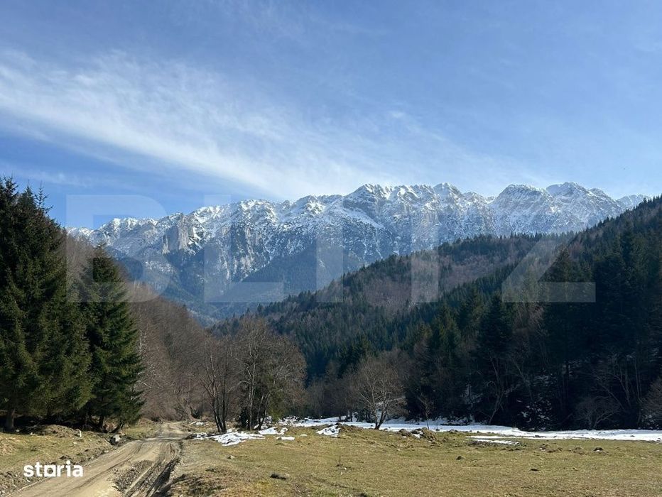 Teren exceptional de vanzare, 5.170 mp - zona Plaiu Foii, Zarnesti