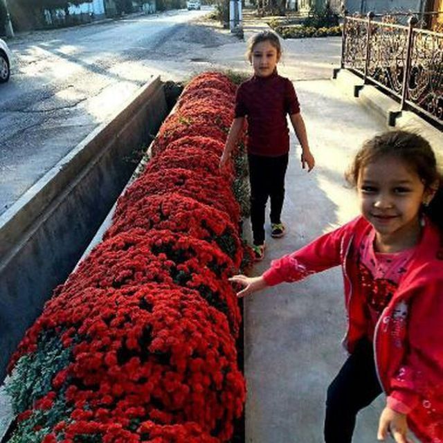 Ландшат ишлари бошланди