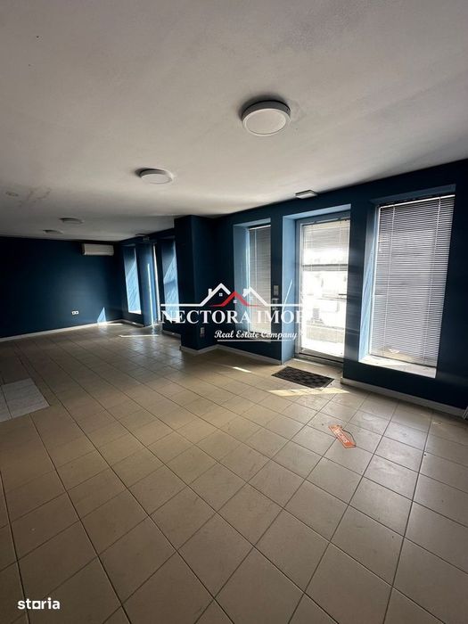 NECTORA IMOB-Spatiu comercial Showroom Santion-Bors, 160 mp + 2630 mp