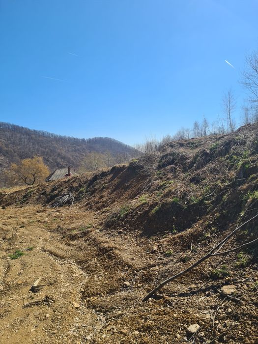 Teren intravilan 703 mp Valea Ierii PLOPI cu CF