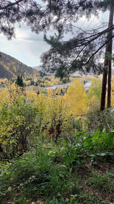 Продам дачу СО" Казахстан"