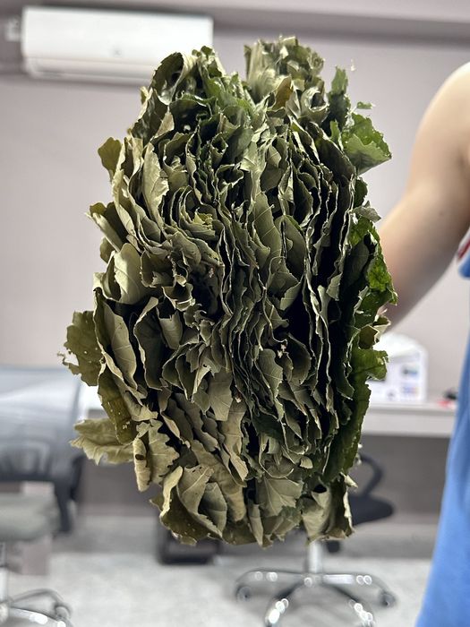 Веник для бани высший сорт дуба хватает на 2-3 парки тоненькие веточки