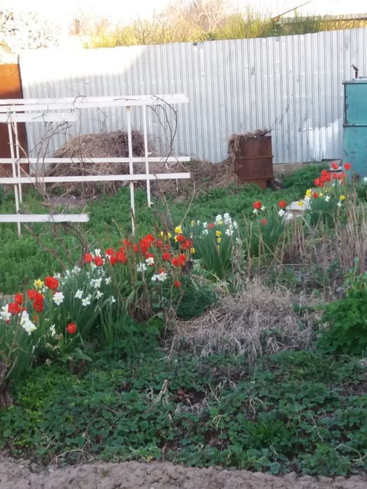 Продам дом на дачном посёлке Кайнар Булак