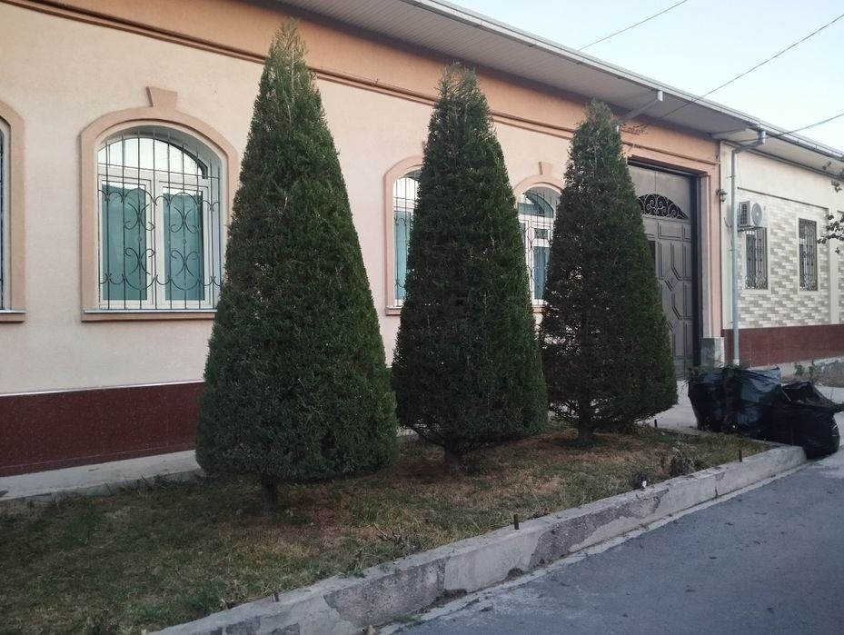 Archa kesish dorilash va gazon bogʻbon chilik ikkish xizmati