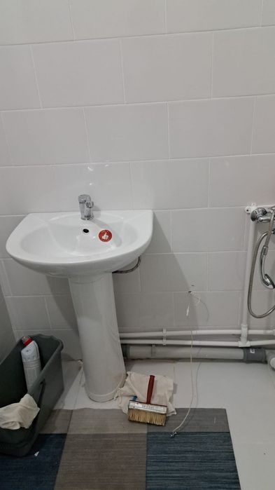 Продам новый тюльпан