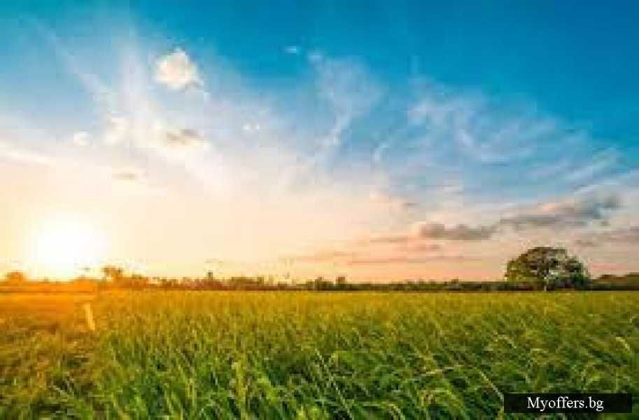 Продава се Земеделски имот в Разград, Васил Левски -  кв.м за 2040 €/дка - Снимка #2