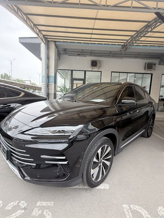 BYD Champion 150 Full