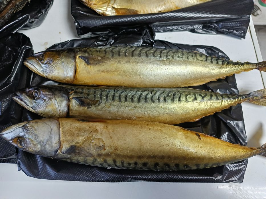 Скумбрия х/к 4900