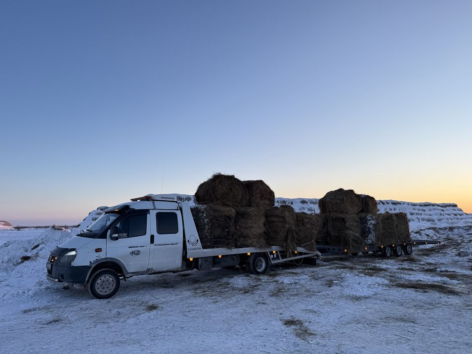 Сено Шоп Жетняк Рулон