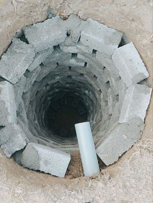 Урачи Тошкент буйлаб