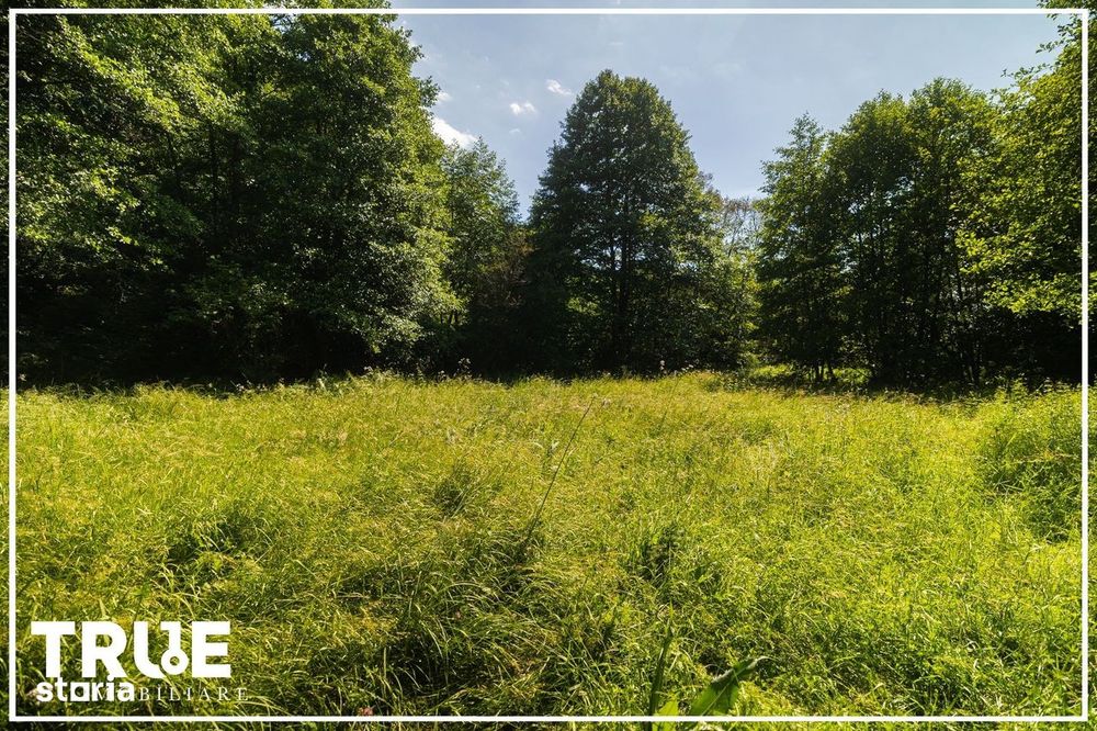 Teren intravilan 2.800 m² în Câmpu Cetății – liniște și natură