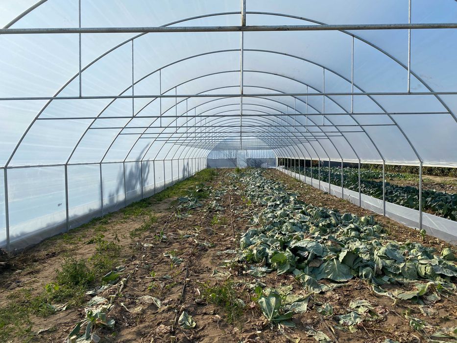 Solari Legume aerisire pe lateral