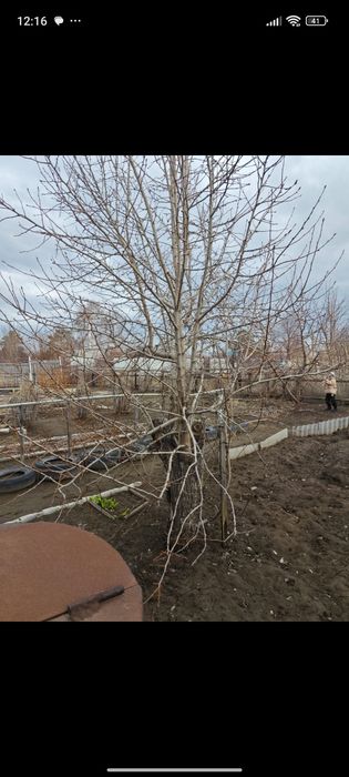 Продам дачу сад Мелиоратор