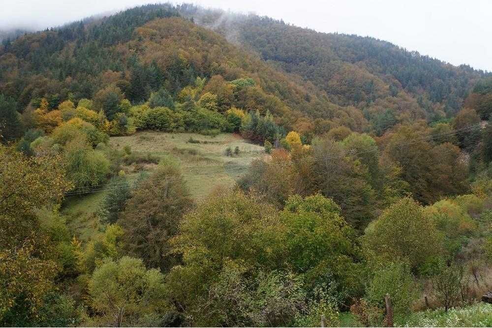 Продава се Къща в к.к. Пампорово - 300 кв.м за 317 €/кв.м - Снимка #3